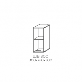 ШВ 300