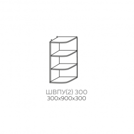 ШВПУ(2) 300