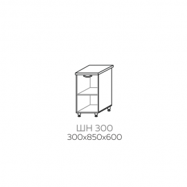 ШН 300